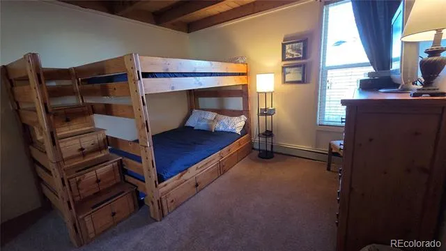 2300 Lodge Pole Circle #101 Silverthorne, CO 80498