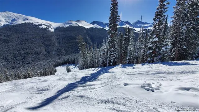 2300 Lodge Pole Circle #101 Silverthorne, CO 80498