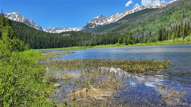 2300 Lodge Pole Circle #101 Silverthorne, CO 80498