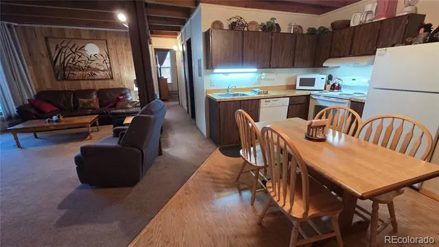 2300 Lodge Pole Circle #101 Silverthorne, CO 80498