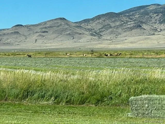 51273 County Road X Saguache, CO 81149
