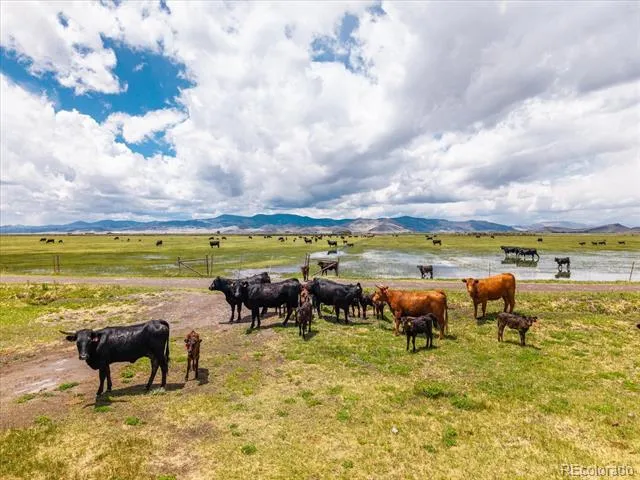 51273 County Road X Saguache, CO 81149