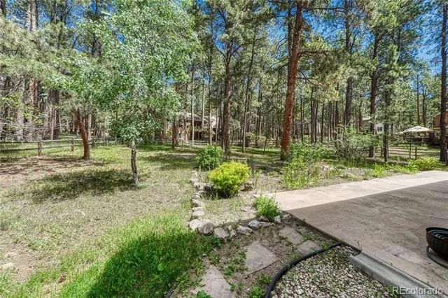 15849 Longmeadow Lane Colorado Springs, CO 80921