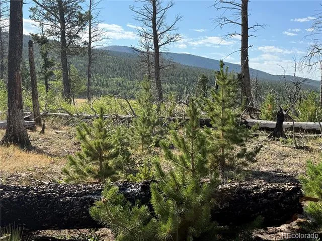 Lot 2499 Gilmartin Lane Fort Garland, CO 81133