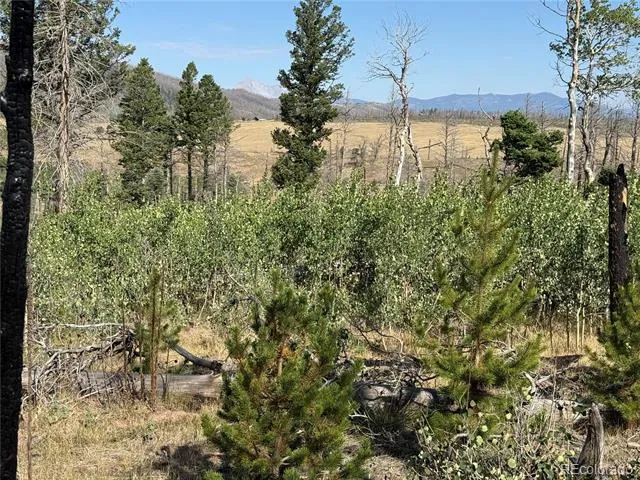 Lot 2499 Gilmartin Lane Fort Garland, CO 81133