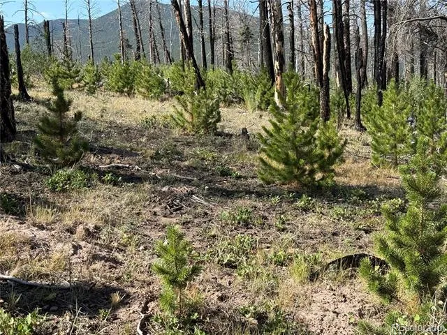Lot 2499 Gilmartin Lane Fort Garland, CO 81133