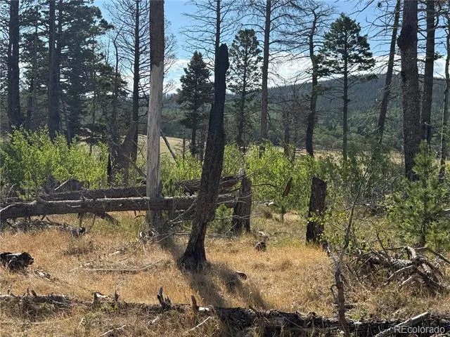 Lot 2499 Gilmartin Lane Fort Garland, CO 81133