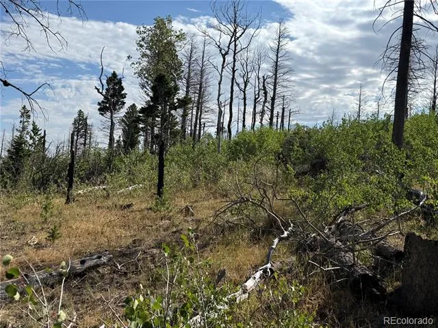 Lot 2499 Gilmartin Lane Fort Garland, CO 81133