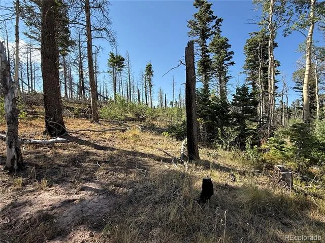 Lot 2499 Gilmartin Lane Fort Garland, CO 81133