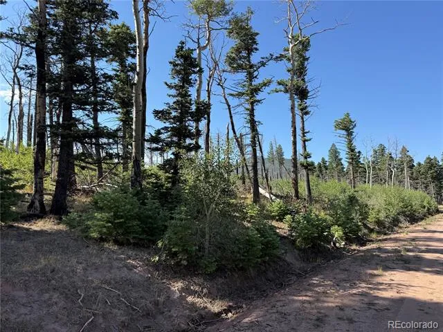 Lot 2499 Gilmartin Lane Fort Garland, CO 81133