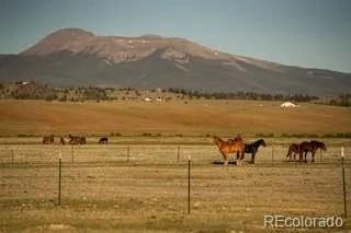 33185 Highway 9 Hartsel, CO 80449