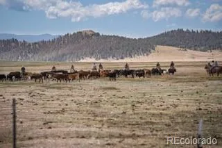 33185 Highway 9 Hartsel, CO 80449