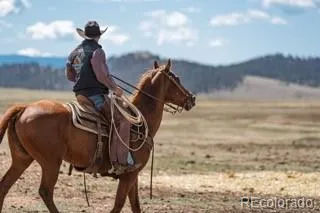 33185 Highway 9 Hartsel, CO 80449