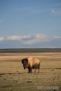 33185 Highway 9 Hartsel, CO 80449