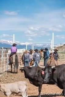 33185 Highway 9 Hartsel, CO 80449
