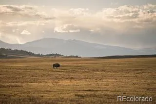 33185 Highway 9 Hartsel, CO 80449