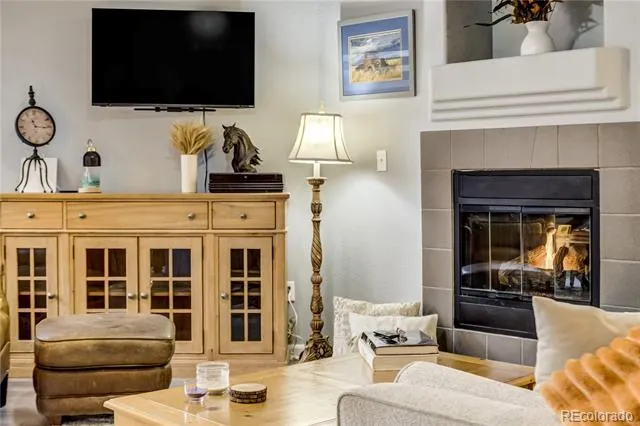 4572 Copeland Loop #102 Highlands Ranch, CO 80126