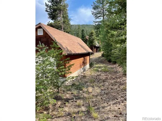 785 S Skinner Road Allenspark, CO 80510