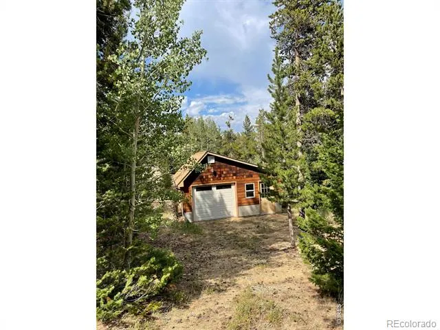 785 S Skinner Road Allenspark, CO 80510