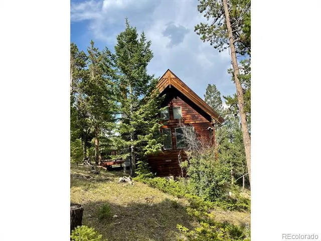 785 S Skinner Road Allenspark, CO 80510