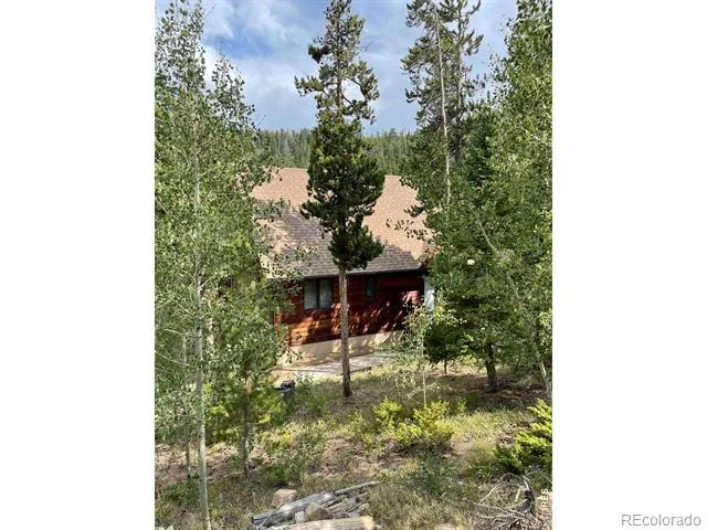 785 S Skinner Road Allenspark, CO 80510