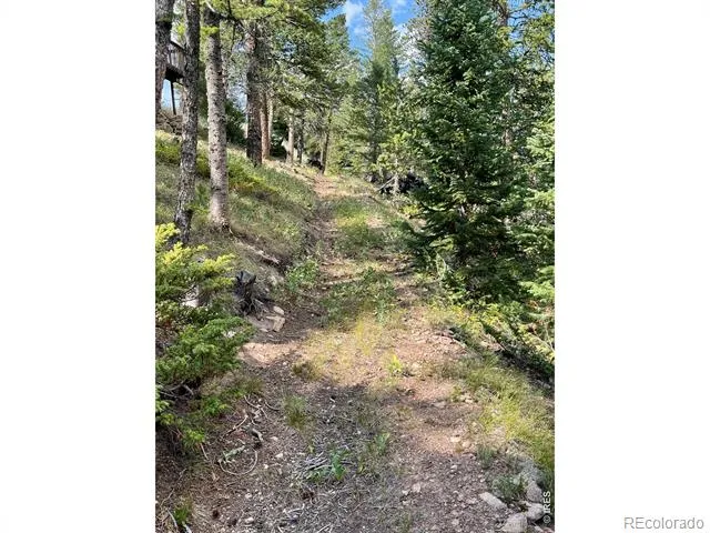 785 S Skinner Road Allenspark, CO 80510