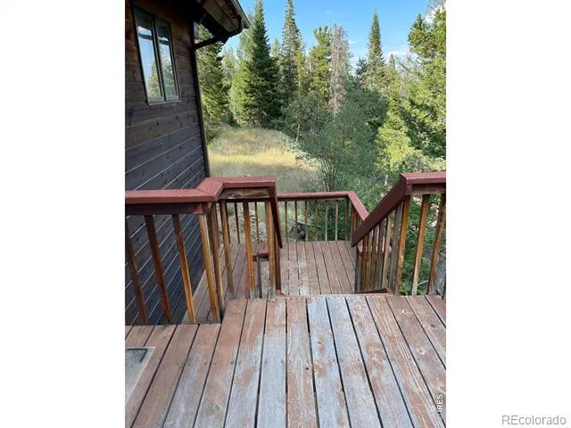 785 S Skinner Road Allenspark, CO 80510