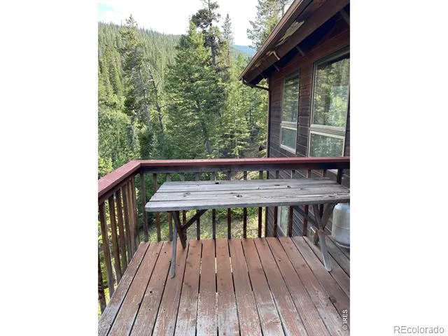 785 S Skinner Road Allenspark, CO 80510