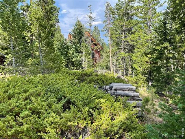 785 S Skinner Road Allenspark, CO 80510