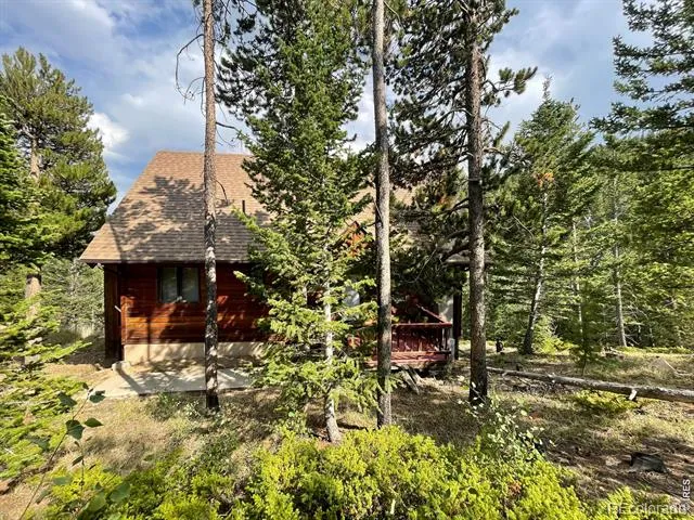 785 S Skinner Road Allenspark, CO 80510