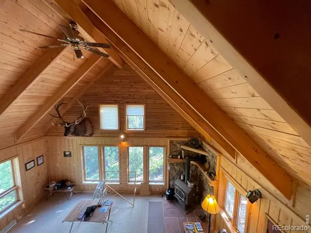 785 S Skinner Road Allenspark, CO 80510