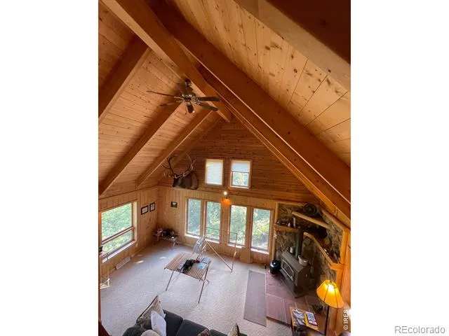785 S Skinner Road Allenspark, CO 80510