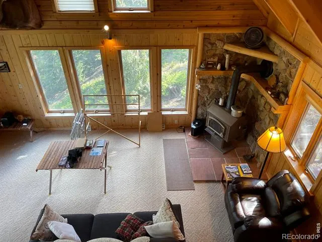 785 S Skinner Road Allenspark, CO 80510