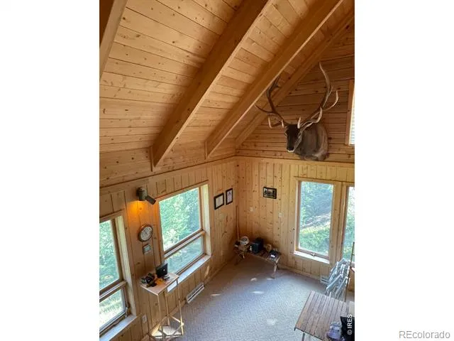 785 S Skinner Road Allenspark, CO 80510
