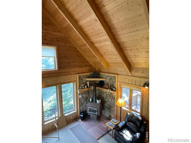 785 S Skinner Road Allenspark, CO 80510