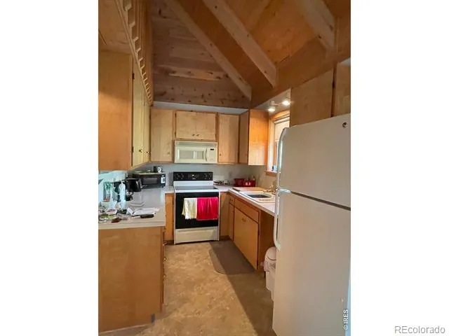 785 S Skinner Road Allenspark, CO 80510