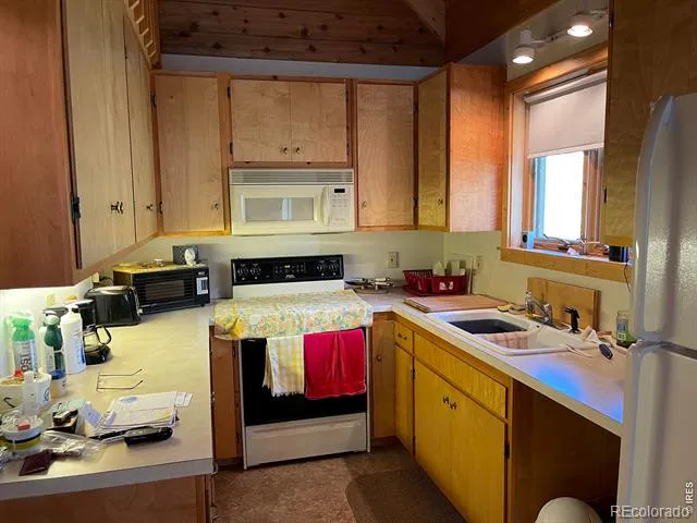 785 S Skinner Road Allenspark, CO 80510