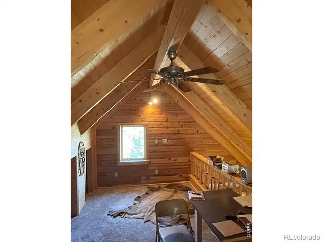 785 S Skinner Road Allenspark, CO 80510