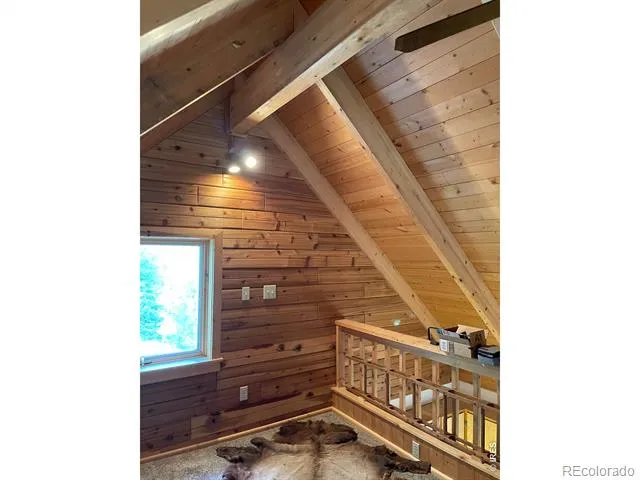 785 S Skinner Road Allenspark, CO 80510
