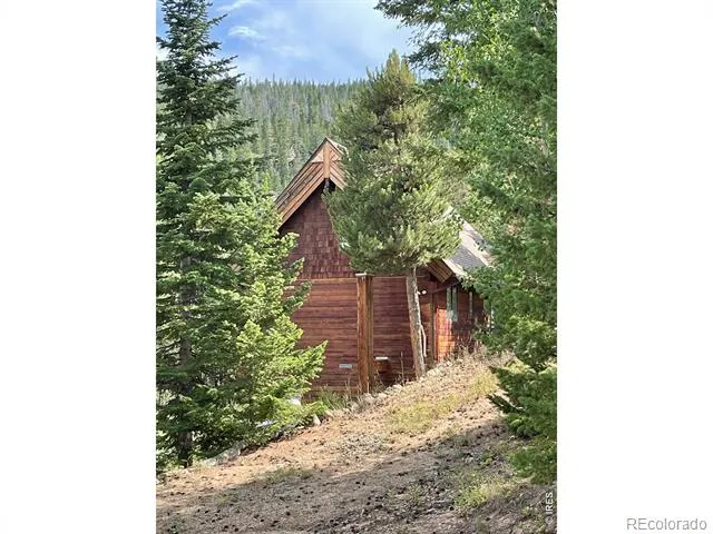 785 S Skinner Road Allenspark, CO 80510