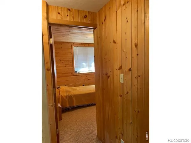 785 S Skinner Road Allenspark, CO 80510