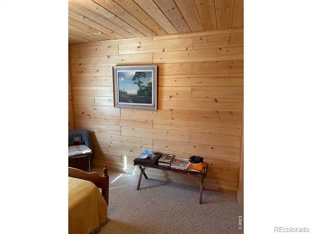 785 S Skinner Road Allenspark, CO 80510