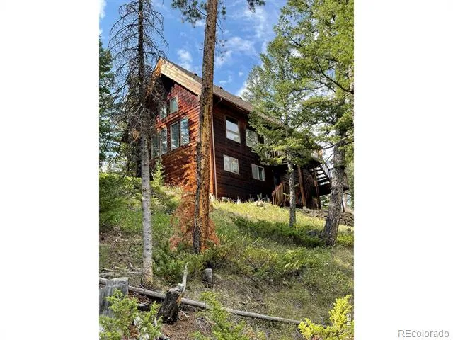 785 S Skinner Road Allenspark, CO 80510
