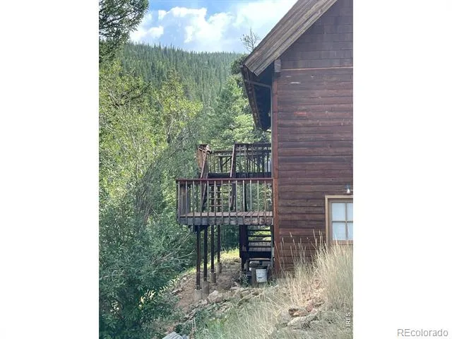 785 S Skinner Road Allenspark, CO 80510