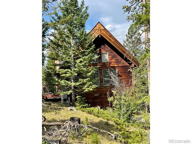 785 S Skinner Road Allenspark, CO 80510