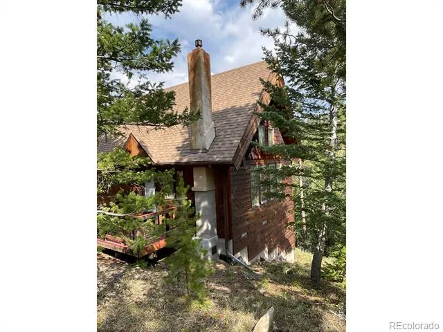 785 S Skinner Road Allenspark, CO 80510