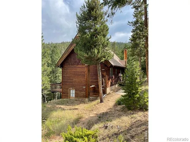 785 S Skinner Road Allenspark, CO 80510