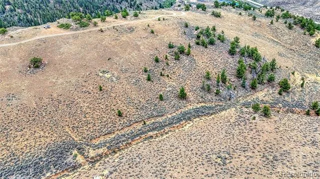 18829 County Road 397 Granite, CO 81251