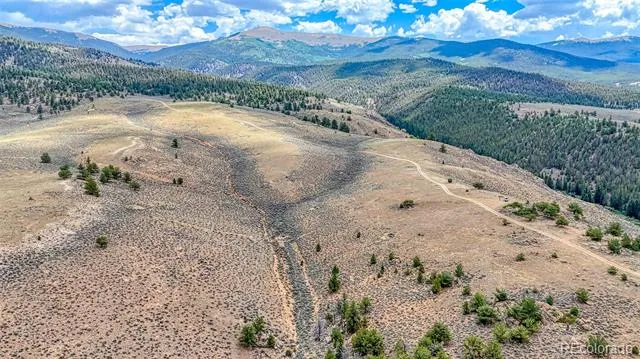 18829 County Road 397 Granite, CO 81251