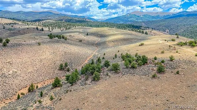 18829 County Road 397 Granite, CO 81251